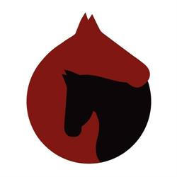 De Paardengruiter (Webshop)