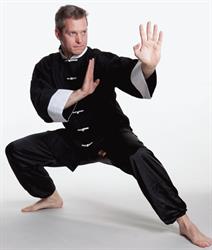 Kung Fu Nijs