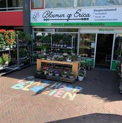 Bloemen op Erica