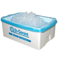 IJs-Garant