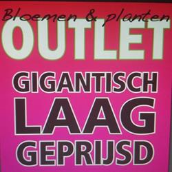 Bloemen en Planten Outlet