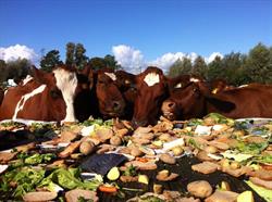 Biologische Boerderij Nooit Gedacht