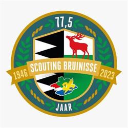 Scouting Bruinisse