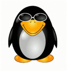 Tielse IJsvereniging 'de Pinguïn'