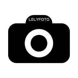 Lelyfoto