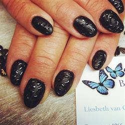 Born for Nails - Assendelft
