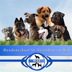 Hondenschool St Vrienden van WAF
