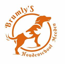 Brumly'S Hondenschool Meeden