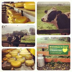 Kaasboerderij 't Groene Hart