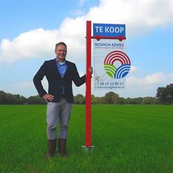 Nijsingh Advies