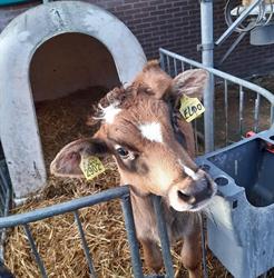 Boerderij 'De Bonte Parels'