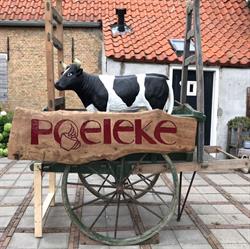 Poeleke