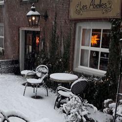 Les Abeilles Koffie/theeschenkerij en kunstnijverheid