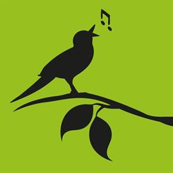 Openluchttheater Eibergen (Open Air Eibergen)