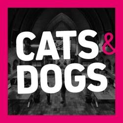 Cats&Dogs creatieve communicatie