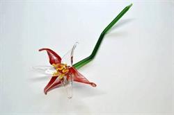 Palodesign
