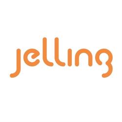 JELLING IT PROFESSIONALS BV