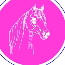 Manege Castellum