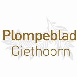B&B Plompeblad Giethoorn