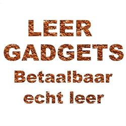 Leergadgets