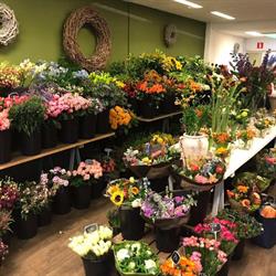 Mooie Bloemen