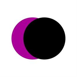Nederlandse Filmacademie