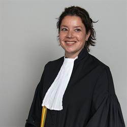 Daemen Advocatuur & Mediation