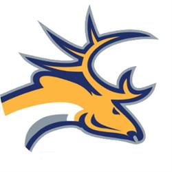 Tilburg Trappers