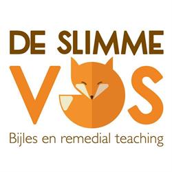 De Slimme Vos Bijles Rotterdam