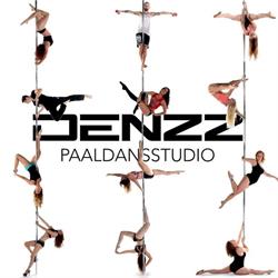 Denzz Paaldansstudio