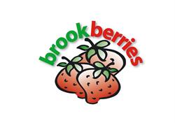 Brookberries
