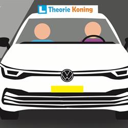 Theorie Koning
