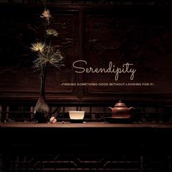 Serendipity Acupuncture