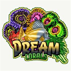 Dreamcorals BV