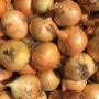 Aardappels online verkoopt tegenwoordig ook uien!