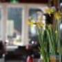Restaurant Pannenkoekenhuis en B & B De Oude Herbergh