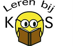 Lerenbijkoos