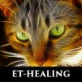 ET-Healing Sessie voor Dieren (1½ uur incl. audio opname)