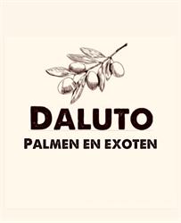 DALUTO Palmen en Exoten