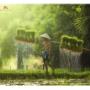 Spa & Thaise Massage Schagen