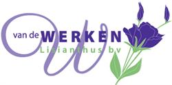 Van de Werken Lisianthus BV