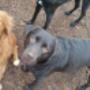 Hi Odin en Nuts !