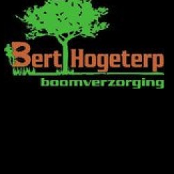 Bert Hogeterp boomverzorging