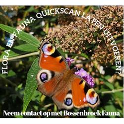 Bossenbroek Fauna