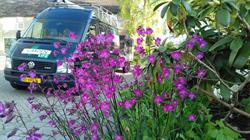 Garden Life hoveniersbedrijf