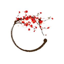 Zen Shiatsu Blaricum