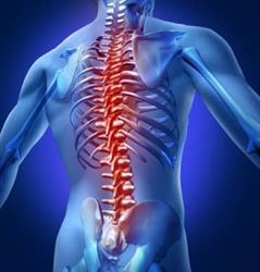 Fysiotherapie Koggenland