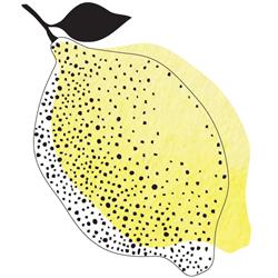 Limon BV