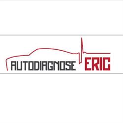 AutoDiagnose Eric