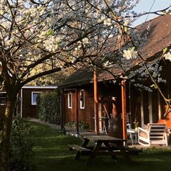 B&B HoutStee